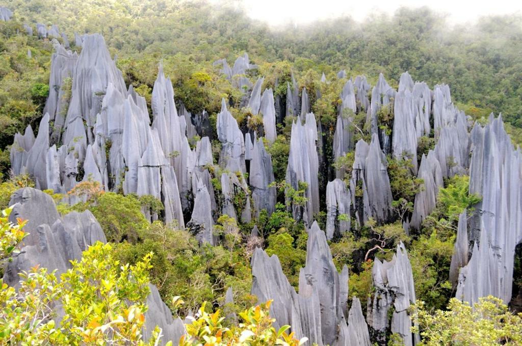 ホテル Mulu National Park エクステリア 写真