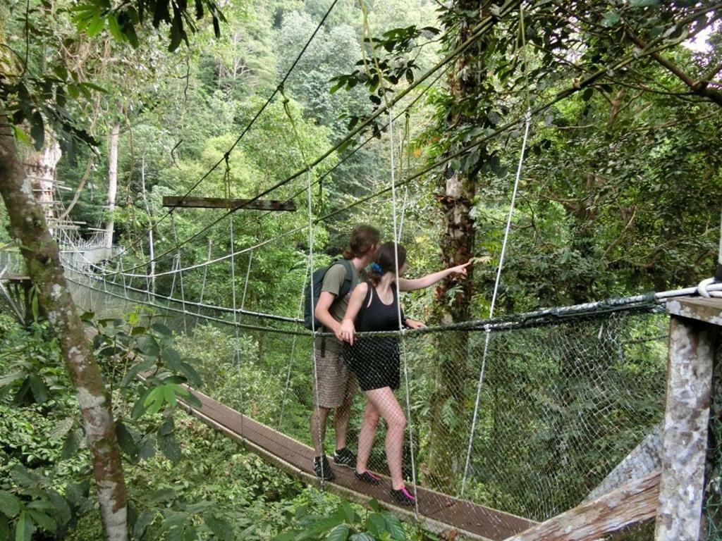 ホテル Mulu National Park エクステリア 写真