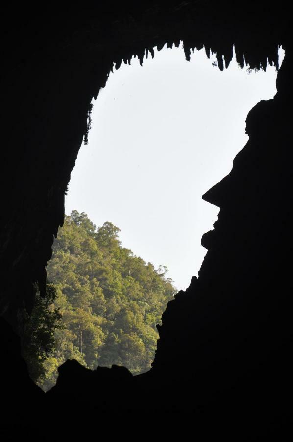 ホテル Mulu National Park エクステリア 写真